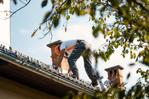 Tile Roofing Contractor in Hillsboro, ND