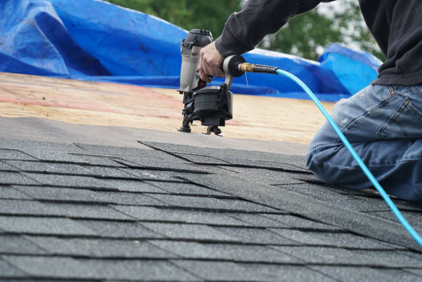 Best New Roof Installation  in Hillsboro, ND