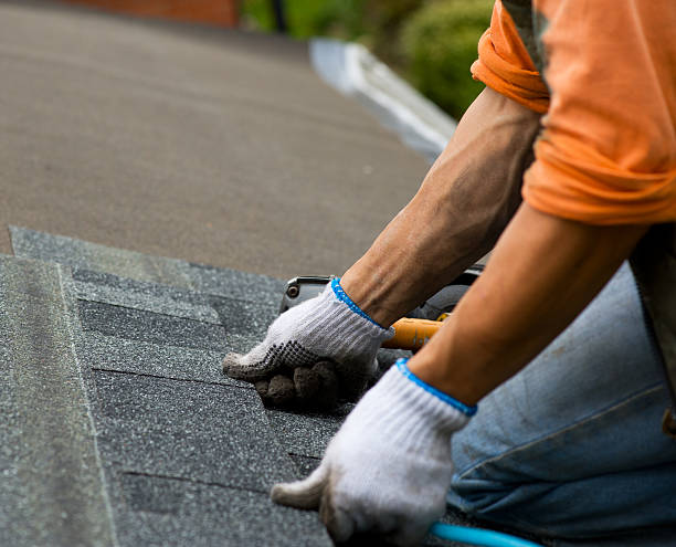 Best Flat Roof Repair Services  in Hillsboro, ND