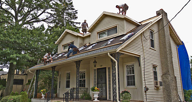 Best New Roof Installation  in Hillsboro, ND