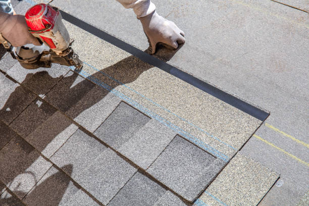 Best Shingle Roofing Installation  in Hillsboro, ND